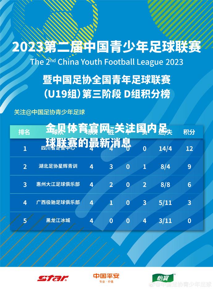 关注国内足球联赛的最新消息